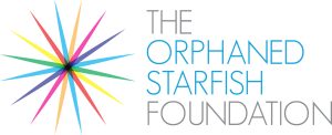 OSF_LOGO_FINAL